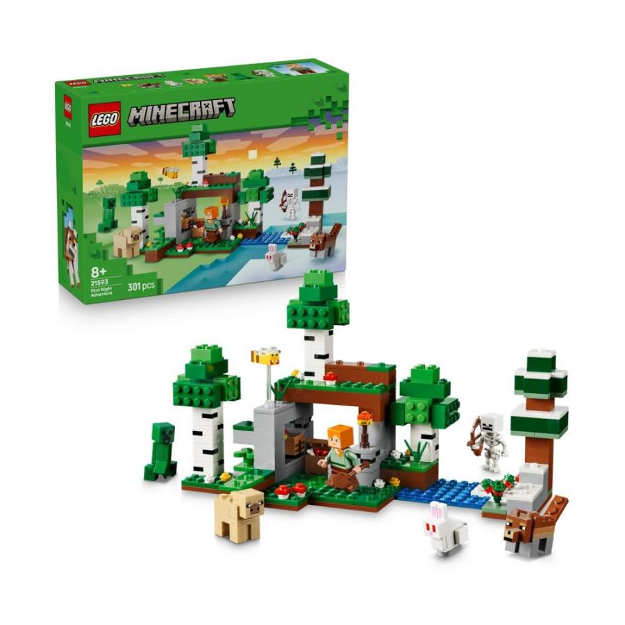 LEGO Minecraft: First Night Adventure (21593)