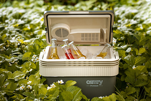 CAMRY PORTABLE COOLER 24L