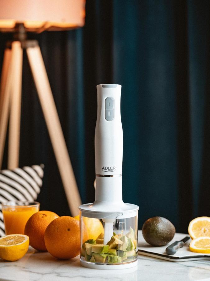 ADLER HAND BLENDER SET 500W WHITE