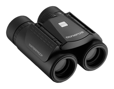 Olympus 10x21 RC II WP Black Compact Binoculars