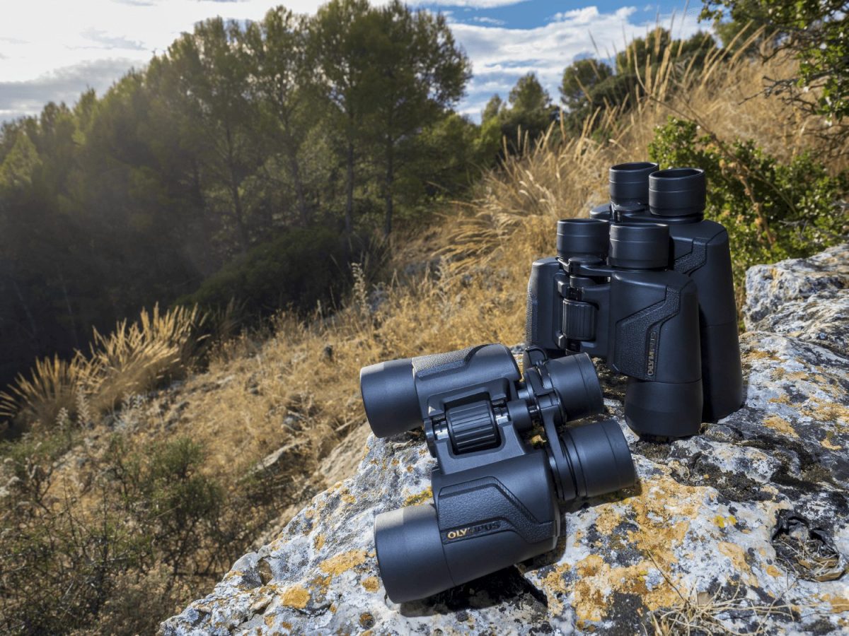 Olympus Binoculars 8x40 S incl. Case & Strap