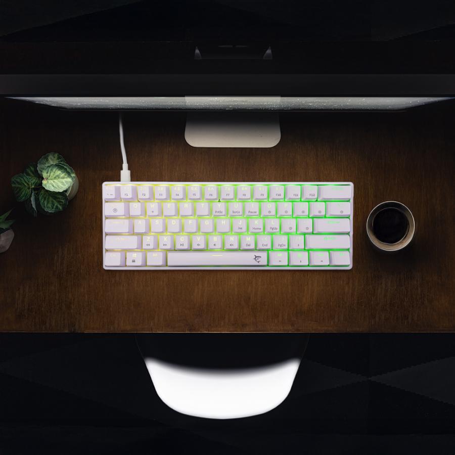 WHITE SHARK GK-004231 SHINOBI-2 MECH KEYBOARD WHITE US BROWN SWITCHES