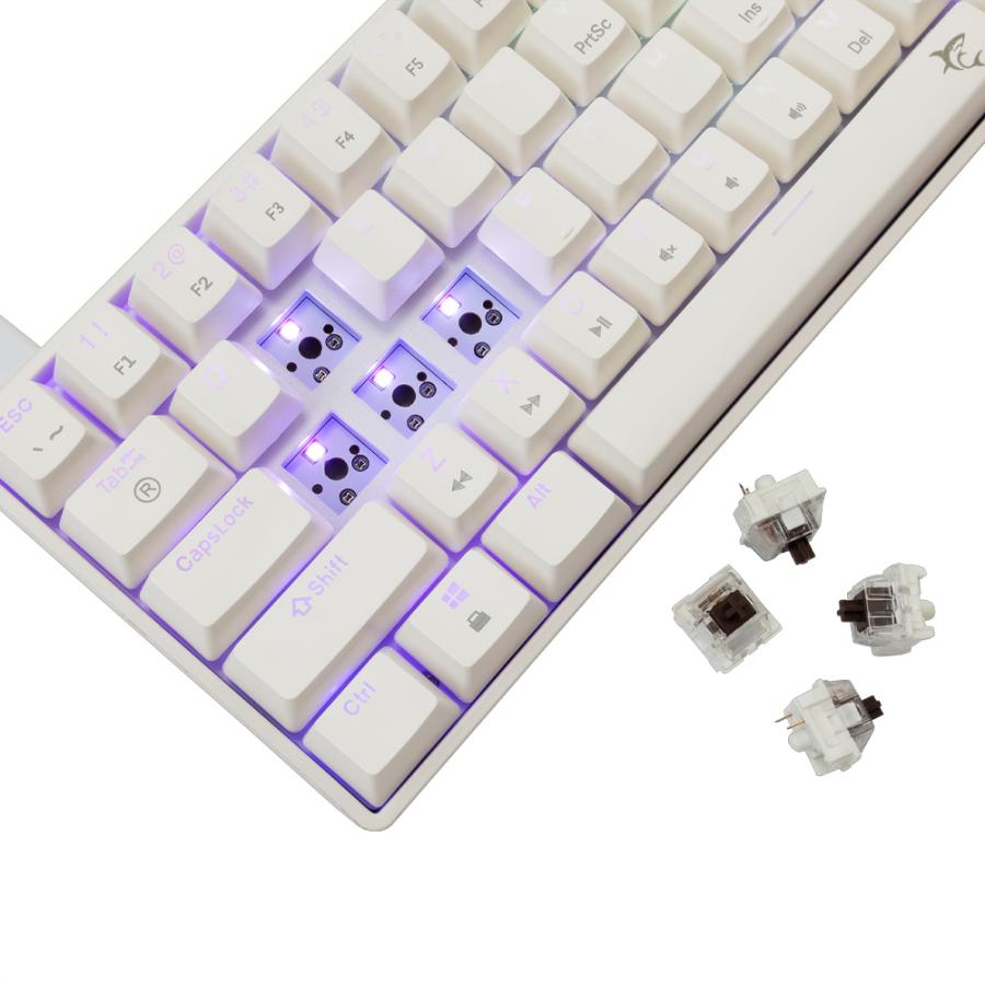 WHITE SHARK GK-004231 SHINOBI-2 MECH KEYBOARD WHITE US BROWN SWITCHES