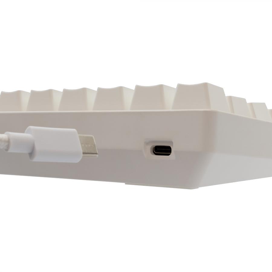 WHITE SHARK GK-004231 SHINOBI-2 MECH KEYBOARD WHITE US BROWN SWITCHES