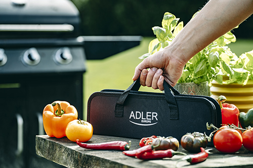ADLER GRILL UTENSIL SET - STAINLESS STEEL WITH CARRYING CASE