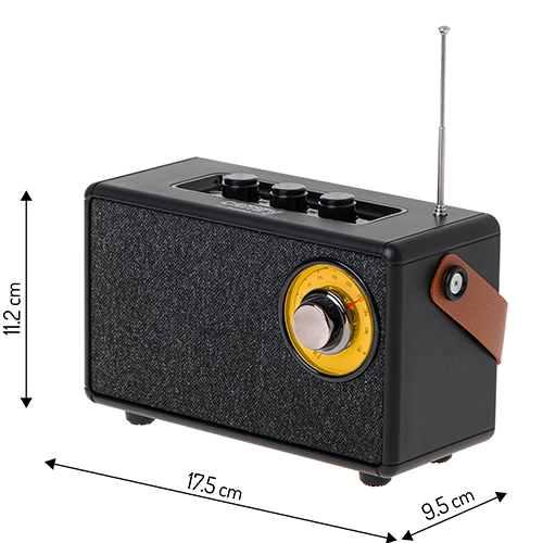 CAMRY BLUETOOTH SPEAKER WITH FM RADIO BLACK