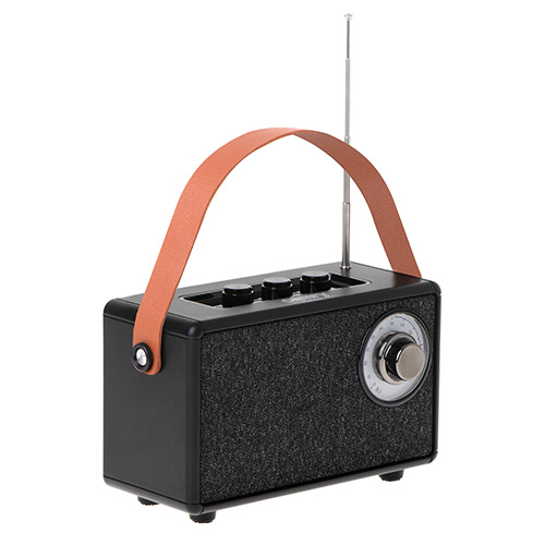 CAMRY BLUETOOTH SPEAKER WITH FM RADIO BLACK